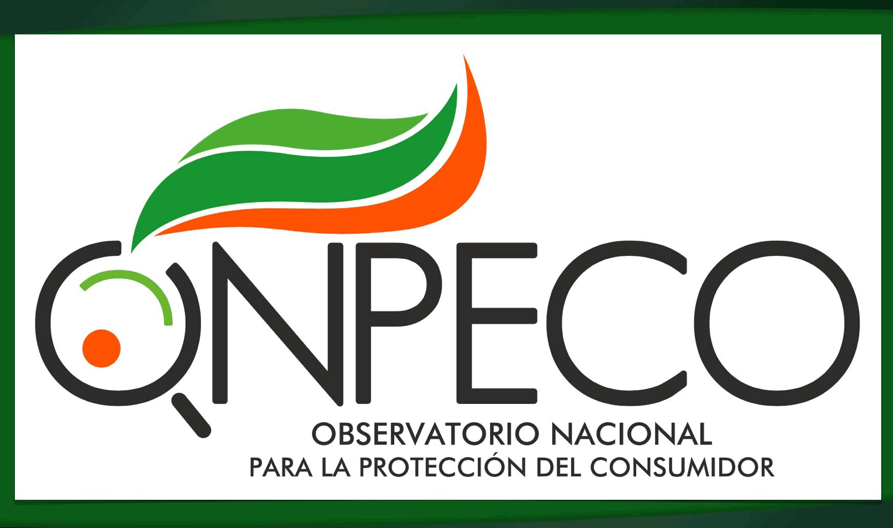 Subastas inmobiliarias violan la Constitución, denuncia ONPECO